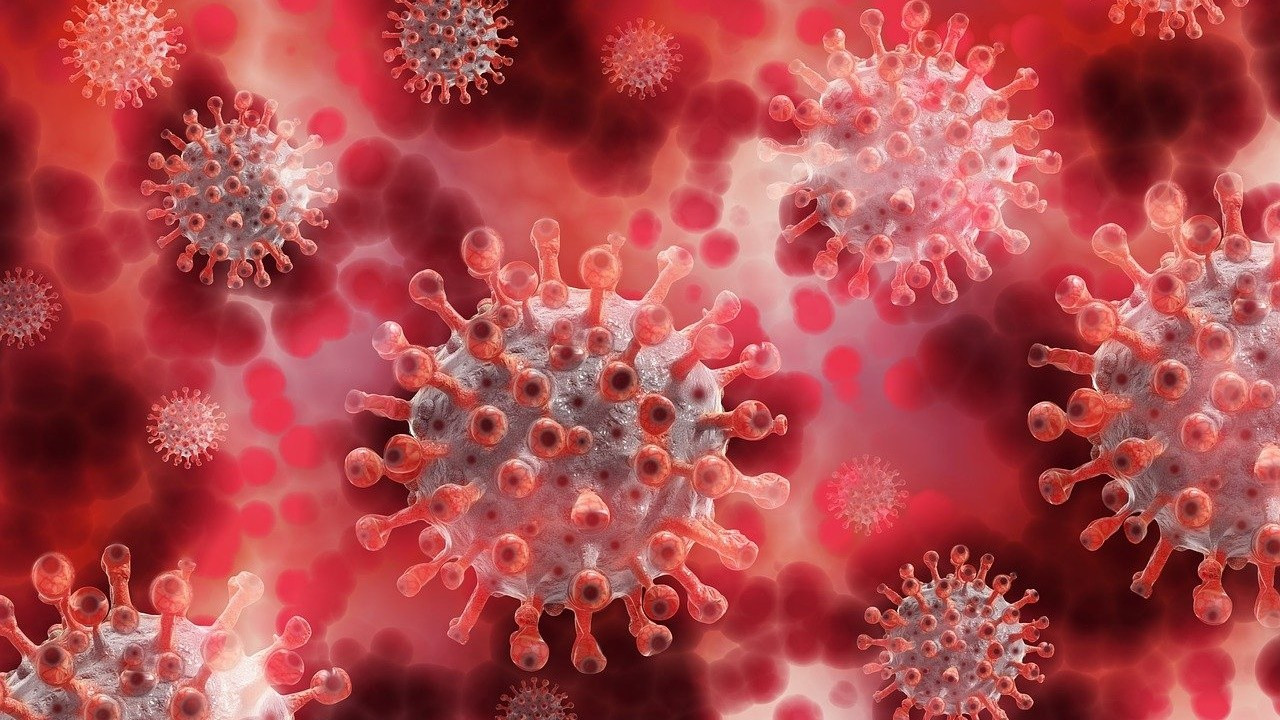 17 Ağustos 2021 corona virüs tablosu açıklandı
