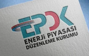 Türkiye Yeşil Fonu’nun kuruluşunun gelecek ay tamamlanması planlanıyor