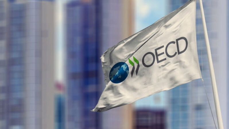 OECD Türkiye için büyüme tahminini düşürdü