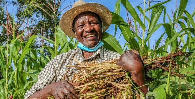 Kenya çiftçilerini kuraklığa karşı sigortalayacak