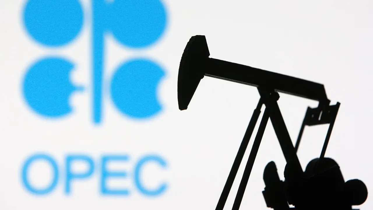 OPEC, 4 ülkeyle üyelik için görüşüyor!
